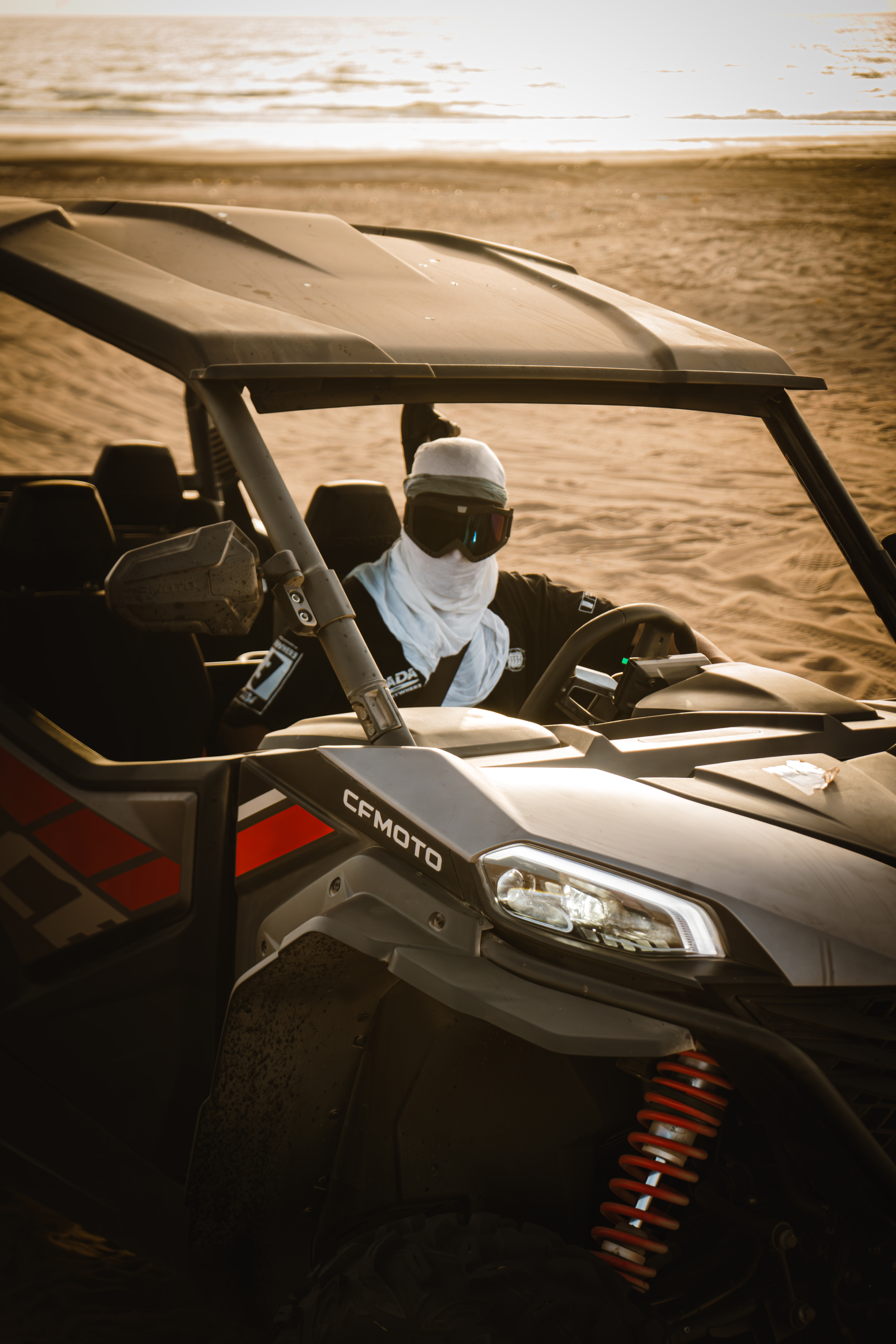 Close view from inside a buggy